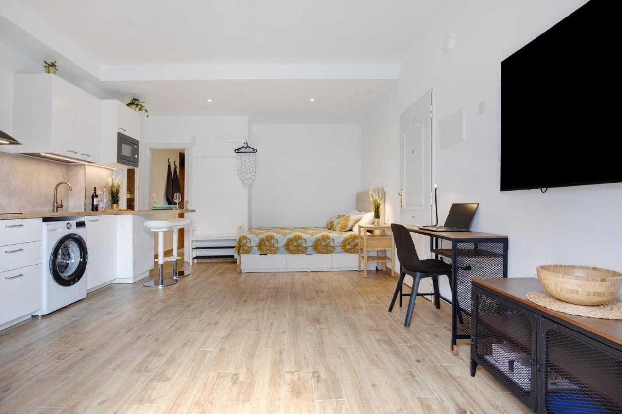 Apartment Estudio Erbania